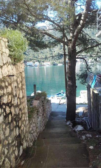 Apartman Nikki II Maranovići Dış mekan fotoğraf